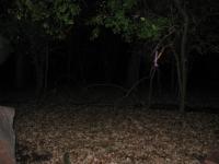 Chicago Ghost Hunters Group investigates Robinson Woods (187).JPG